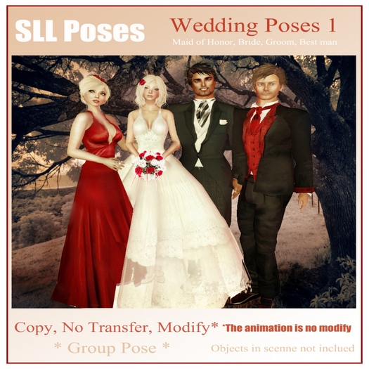 SLL POSES - WEDDING POSES 1 
