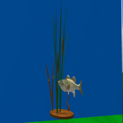 Largemouth bass mount