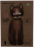 KittyCatS Box - Abyssinian - Dark Chocolate