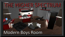 THS - Modern Boys Room