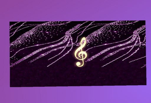 pochette concerto