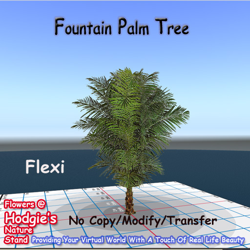 Hodgie's Trees - Tropical Fountain Palm Tree (Flexi)