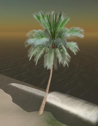 (boxed)Palm leaning ver3