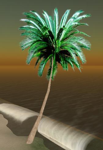 Palm Leaning ver2 Boxed