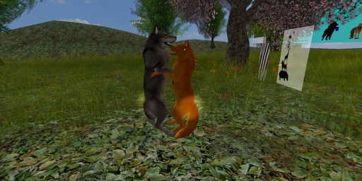 Romantic wolf dance