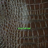 Texture Leather Fabric Crocodile Brow