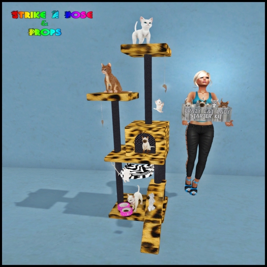 Sap Cat Party V1 Boxed