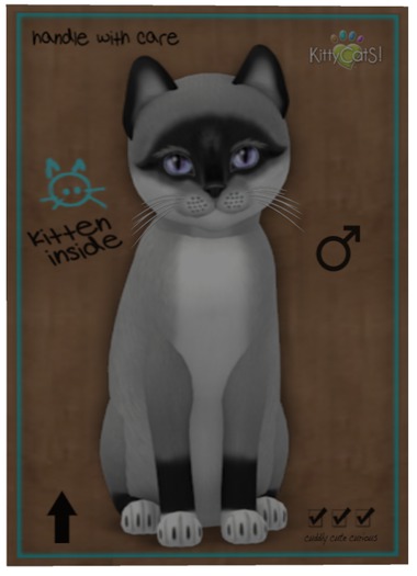 KittyCatS Box - Foxie - Salt & Pepper Mask