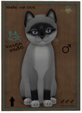 KittyCatS Box - Foxie - Salt & Pepper Mask