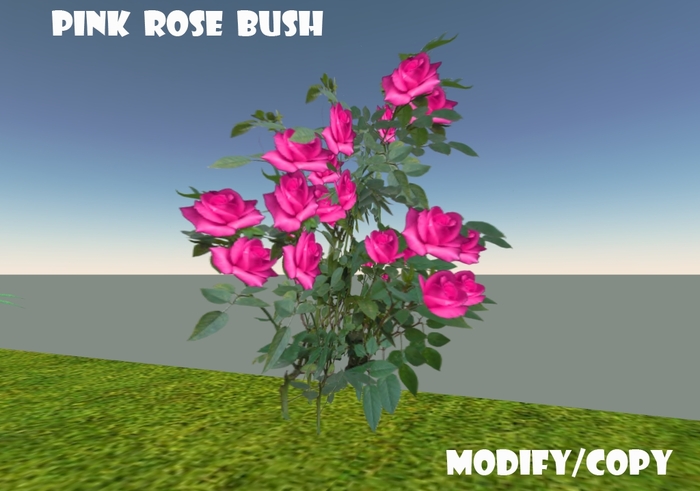 Pink Rose Bush (Flexi)