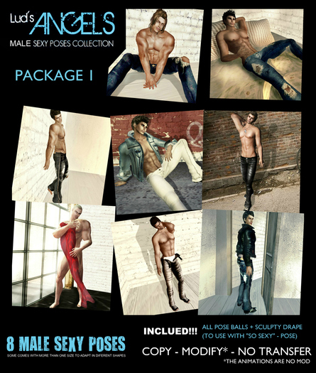 SLL Poses - LUD ANGELS MALE - PACK1