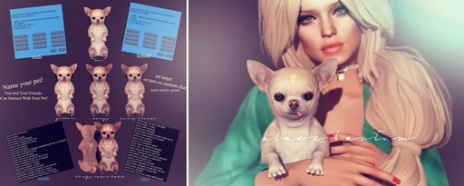 [Black Bantam] Old Chih - Him-Mean Dingy Razor Back