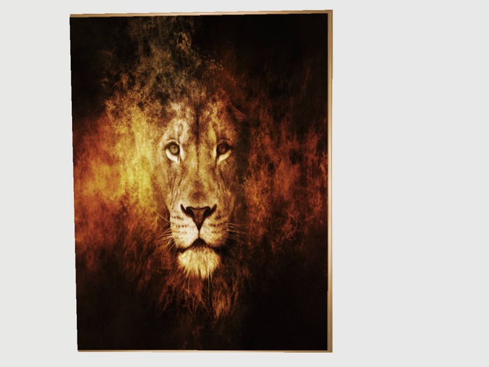Frame With Lion 2
