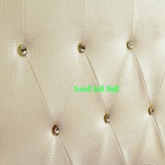 Texture Wall leather Crocodile Beige 