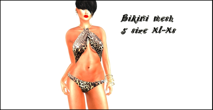 Bikini Mesh*