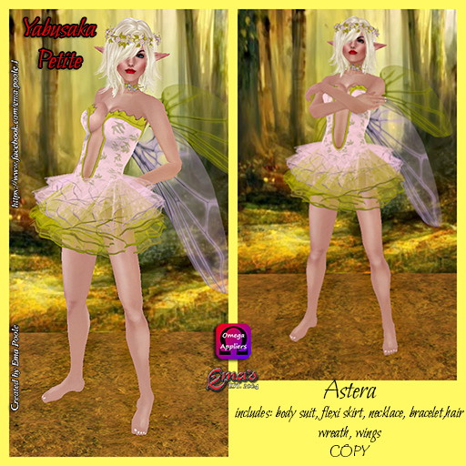 **ema's petites-astera boxed