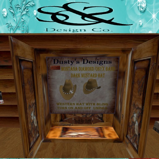 *S&S* Design Closet For Cloths