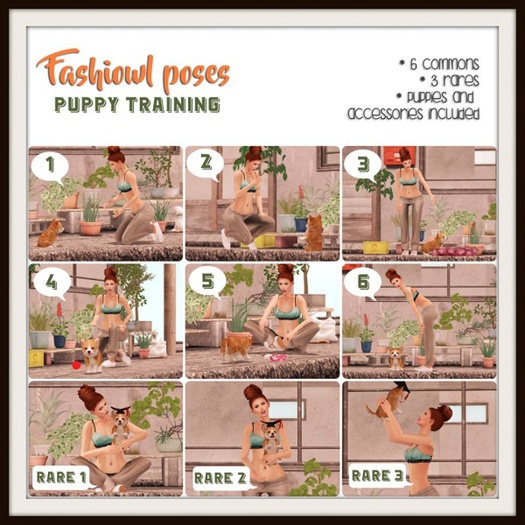 = Fashiowl Poses = Puppy Training Gacha - 1 RARE