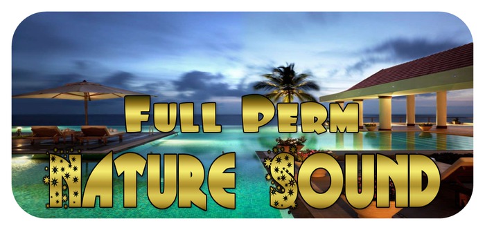 . RM . Nature Sound: On the Beach at Night