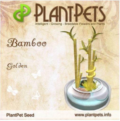 PlantPet Seed [Bamboo *Golden*]