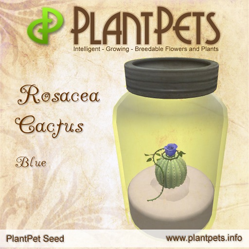PlantPet Seed [Rosacea Cactus *Blue*]
