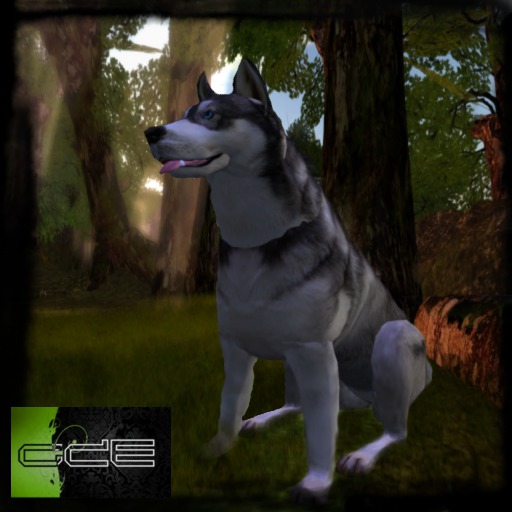 BB Husky Box