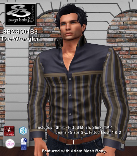 Wranger Stripe Outfit