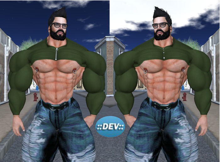 [D.Cavalieri] - Short Tee Green - Zipped/Buttons