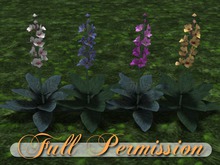 ~AB~ Single Verbascum Flowers ~ Full Perm Mesh