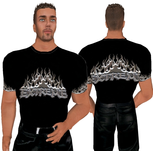 Extreme Silver 3D Tshirt