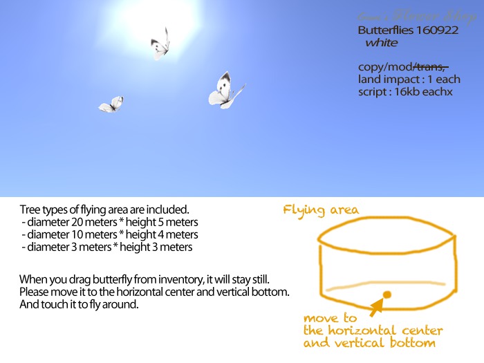 (g.) Butterflies 160922 White