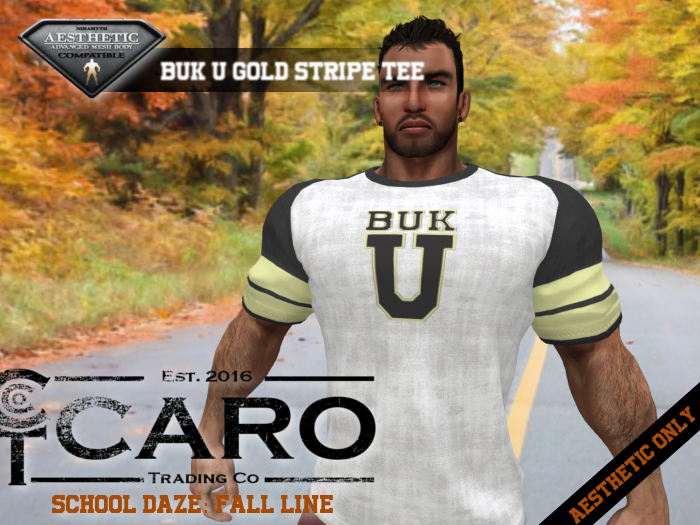 [B] *BC* BUK U GOLD STRIPE TEE