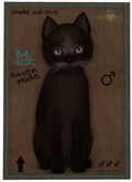 KittyCatS Box - Abyssinian - Dark Chocolate