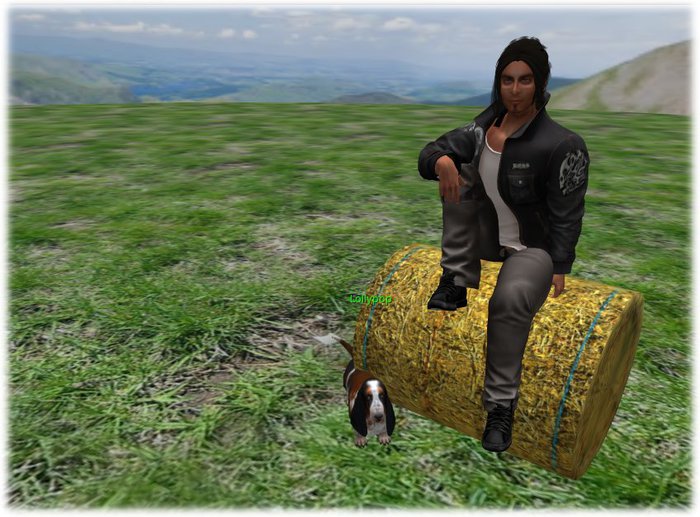 hay bale v3 animated