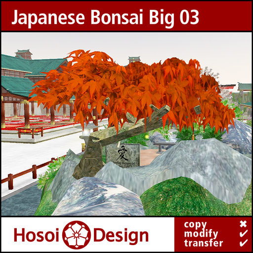 Discount - Japanese Bonsai Tree - Big Type 03