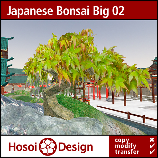 Discount - Japanese Bonsai Tree - Big Type 02