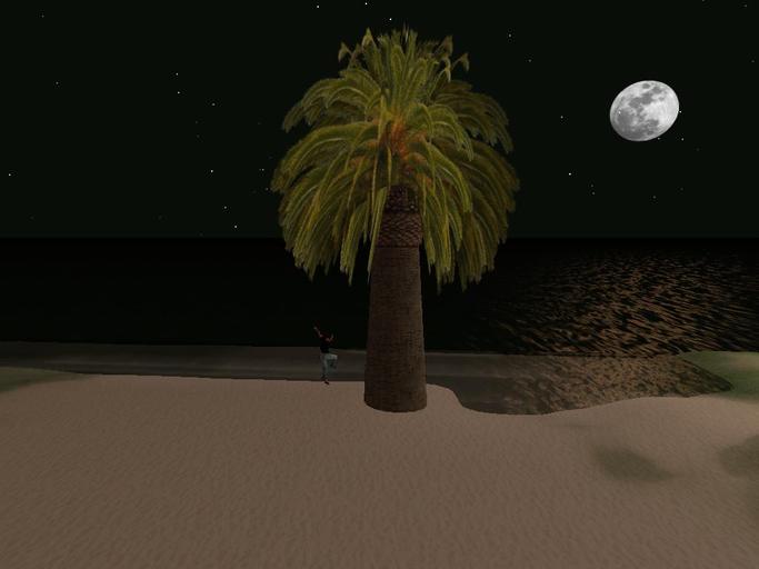 Palm Giant ver 5.0 (boxed)