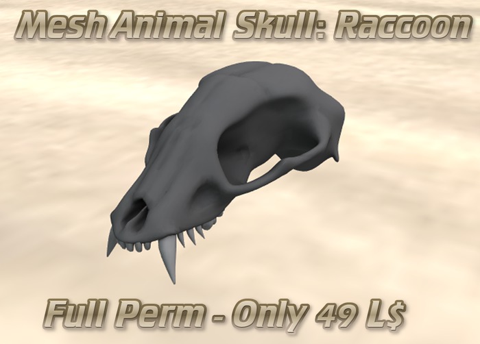 Mesh Animal Skull (Raccoon) with UV&AO Textures *FULL PERM*