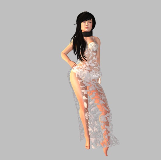 DRESS LACE TRANSPARENT DUAL COLOUR