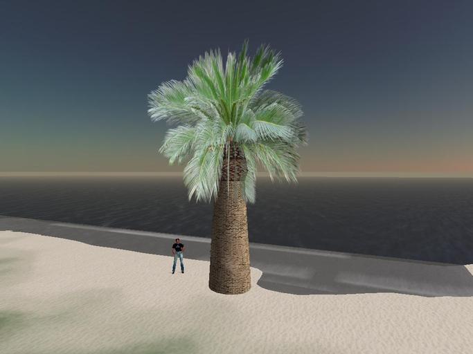 Palm Giant ver 3.0 (boxed)