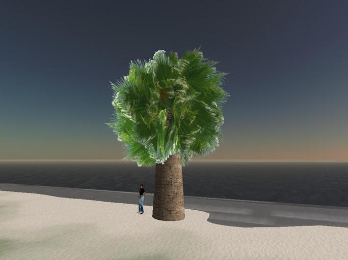 Palm Giant ver 4.0 (boxed)