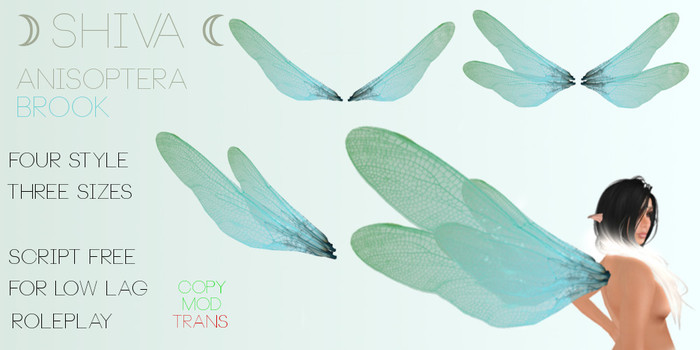 :SHIVA:  Anisoptera - Brook