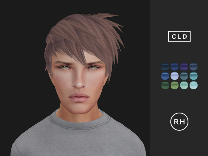 RAW HOUSE :: Akuma Hair [CLD]