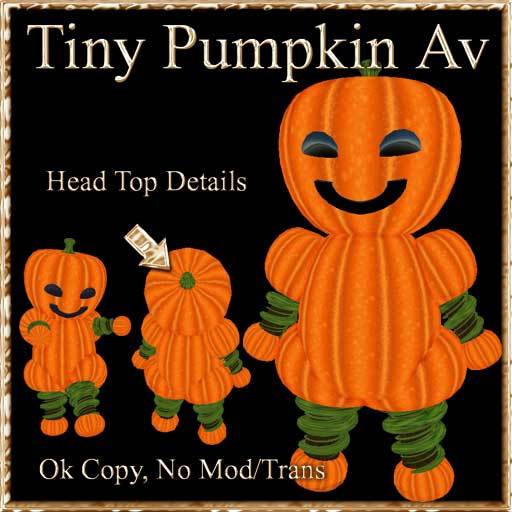 * Charmed * Tiny Pumpkin Avater