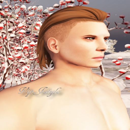 ::MESH BLONDE HAIR MAN:: VIPJSTYLE
