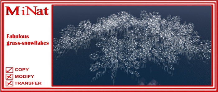 MN Fabulous grass-snowflakes