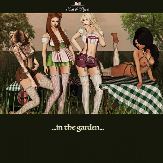 S&P Oktoberfest Collar brown (rez to unpack)