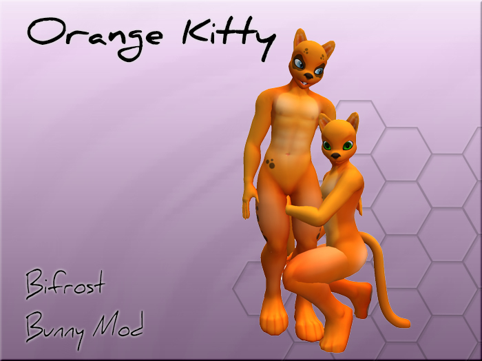 [TT] Bifrost Feline Orange