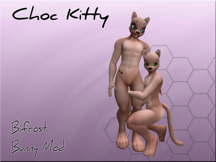 [TT] Bifrost Feline Choc