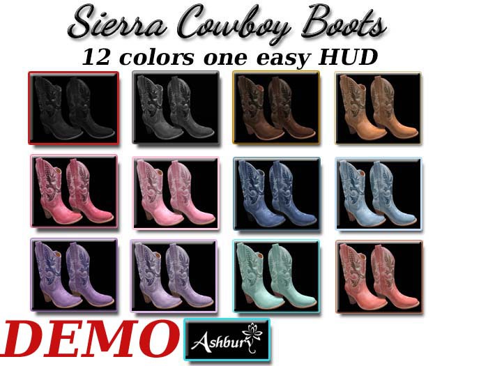 [ASHBURY] Sierra Cowboy Boot DEMO